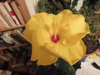 DSCF6508.webp