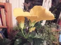 DSCF6509.webp