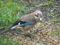DSCN2132.webp