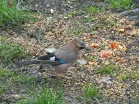 DSCN2128.webp