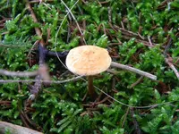 DSCN9748.webp