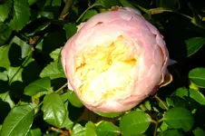 DSCF3128.webp