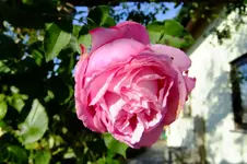 DSCF3134.webp