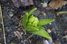 _DSC9590.webp