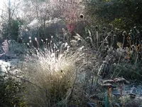 DSCN9788.jpg