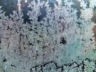 eisblumen.webp