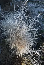 DSCF4827 (2).webp