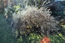 DSCF4828 (2).webp