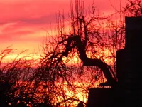 DSCN9821.webp