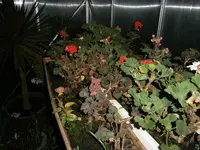 PC110938.webp