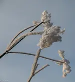 IMG_2578.webp