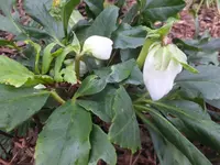 DSCF9084.webp