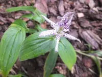 DSCF9147.webp