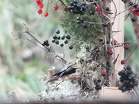 DSCF6513.webp