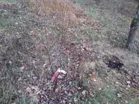 IMG_20151211_131202.webp