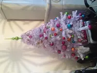 image.webp