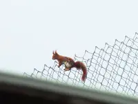 DSCF6540.webp