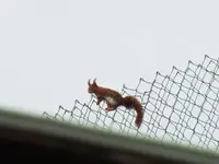 DSCF6541.webp