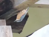 DSCF6632.webp