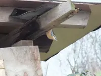 DSCF6634.webp
