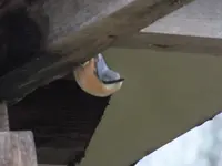 DSCF6630.webp