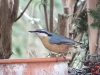 DSCF6628.webp