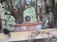 DSCF6641.webp