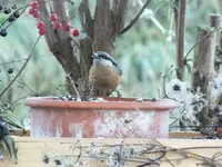 DSCF6450.webp