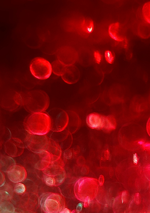 red (65).webp