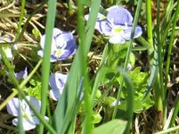 IMG_4026-a.webp