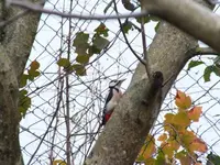 DSCF6557.webp