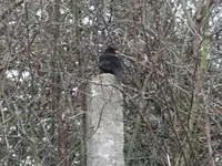 DSCF6640.webp