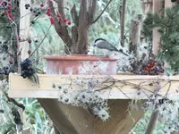 DSCF6463.webp
