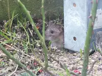 DSCF6662.webp