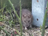 DSCF6670.webp
