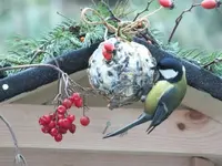 DSCF6659.webp