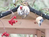 DSCF6672.webp