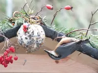 DSCF6679.webp