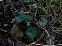 DSCN9832.webp