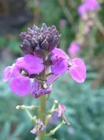 DSCN9840.webp