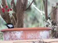 DSCF6531.webp
