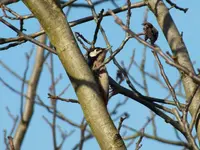 DSCF6721.webp