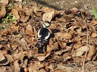 DSCF6735.webp