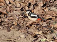 DSCF6740.webp