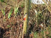 DSCF6738.webp