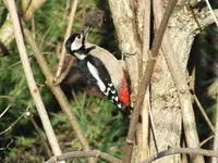DSCF6742.webp