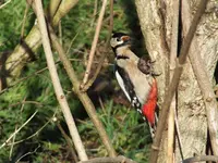DSCF6745.webp