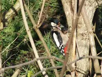 DSCF6748.webp