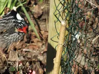 DSCF6739.webp