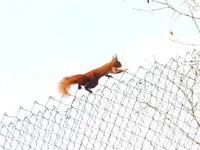 DSCF6762.webp